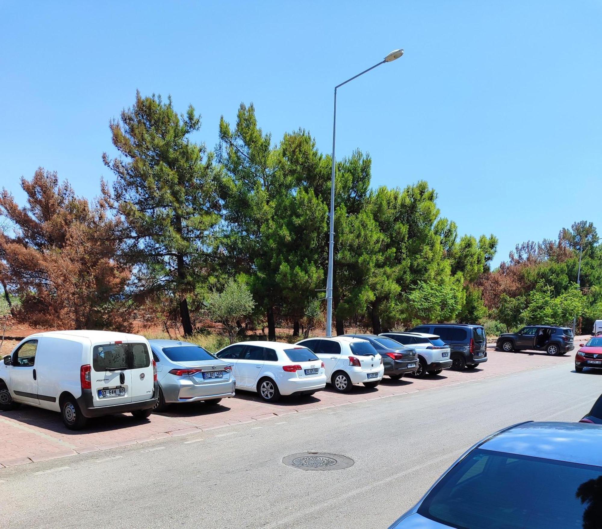 Rega Otel Antalya Luaran gambar